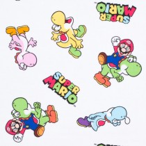 TELA NINTENDO SUPER MARIO